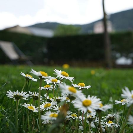 Apartamento Con Jardin En La Cerdanya Err Zewnętrze zdjęcie