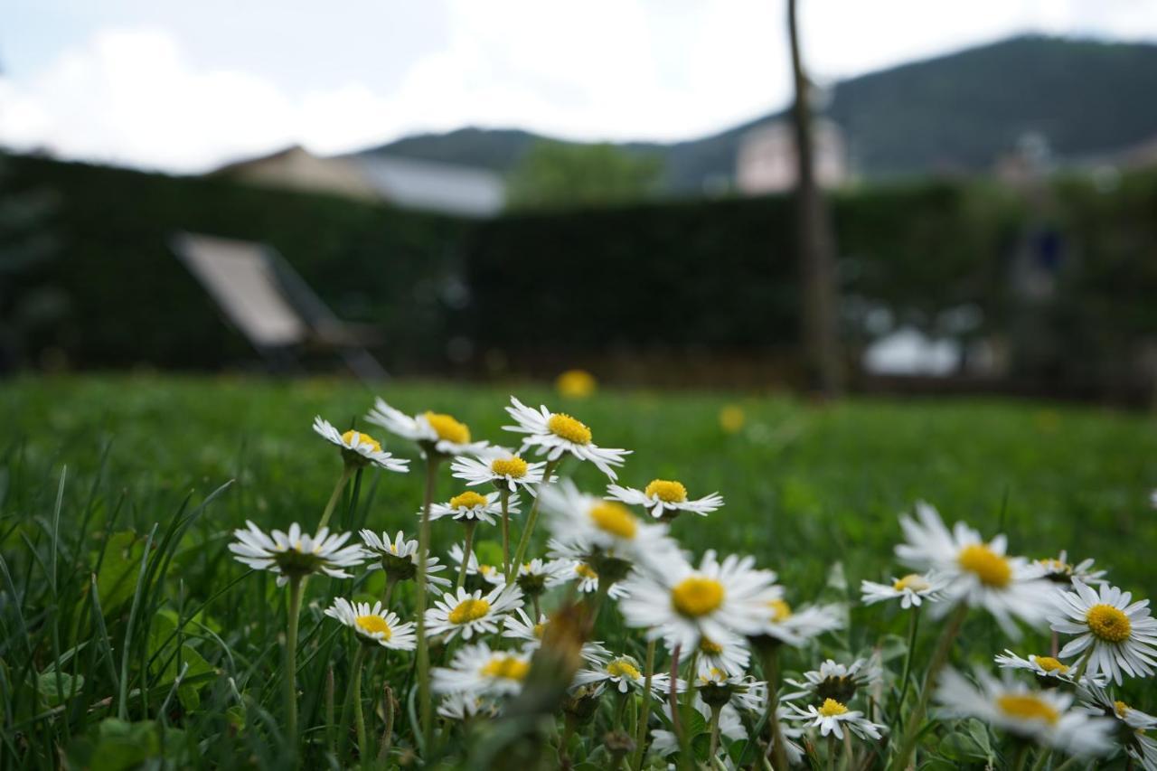 Apartamento Con Jardin En La Cerdanya Err Zewnętrze zdjęcie