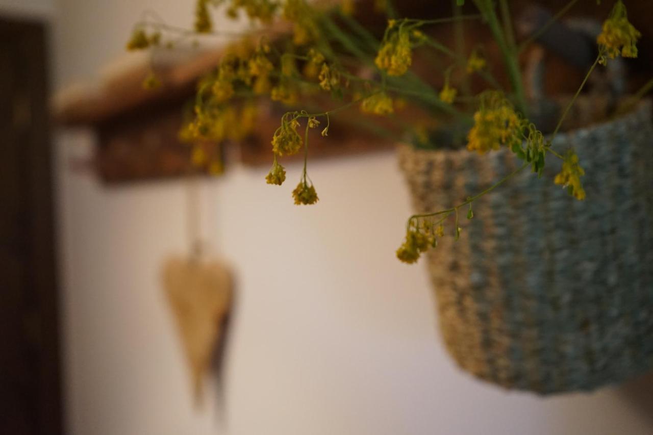 Apartamento Con Jardin En La Cerdanya Err Zewnętrze zdjęcie